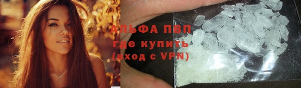 стаф Пролетарск