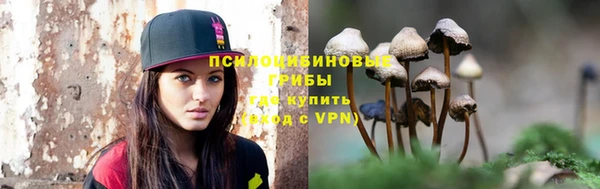 стаф Пролетарск