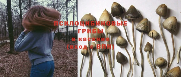 первитин Протвино