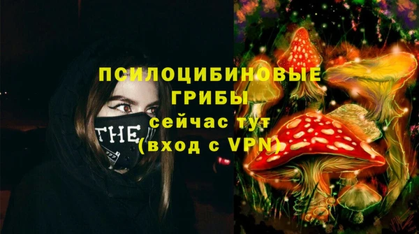 стаф Пролетарск