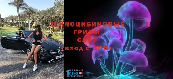 стаф Пролетарск
