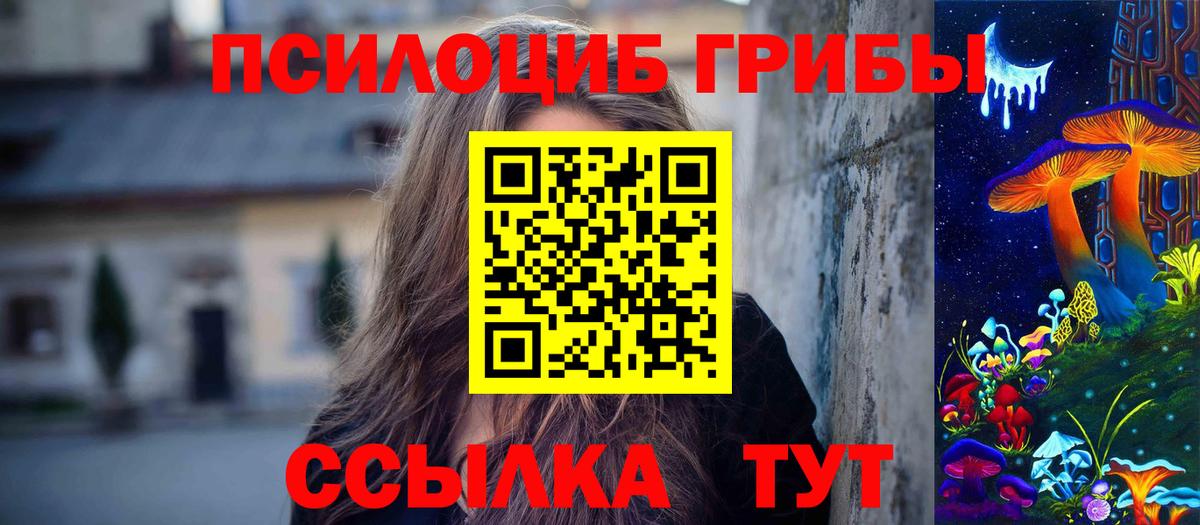 Светлоград  Галлюциногенные грибы Cubensis  Вход с VPN 