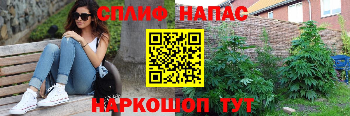 Бошки Шишки тримм  Светлоград  Канабис THC 21%  Шишки марихуана семена  МАРИХУАНА план 